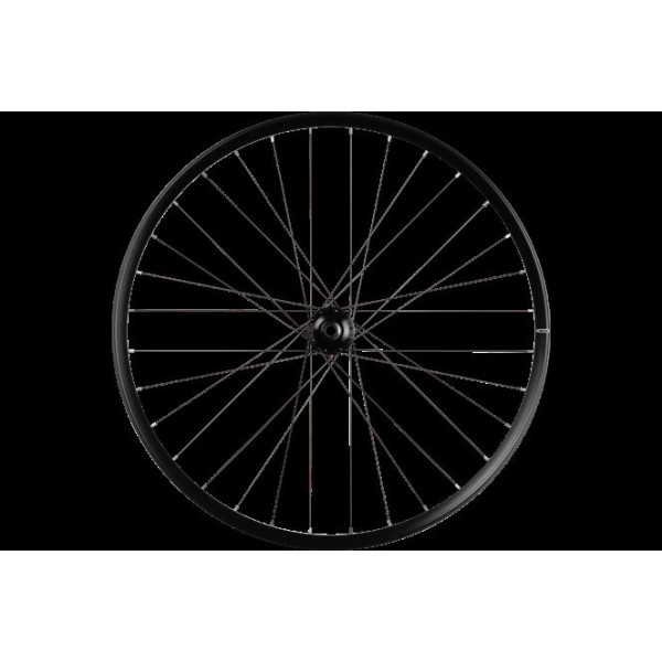MAVIC RUOTA POSTERIORE E-CROSSRIDE 29" 12X148 30 CENTERLOCK HG