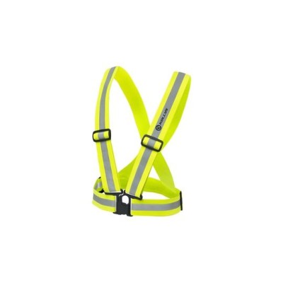 KLS PETTORINA MOONLIGHT 016