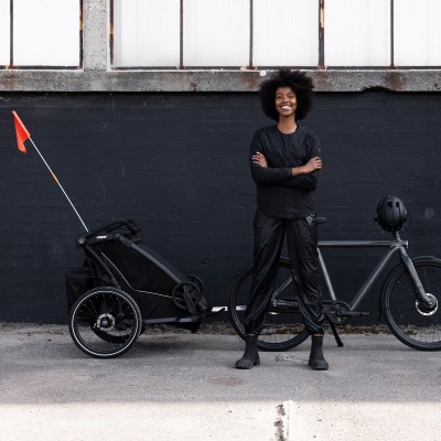 THULE CHARIOT SPORT 2 SINGLE NATURAL GOLD